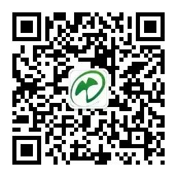 The Market Trends of Bei Cang Zhu (Atractylodes macrocephala) and Its Future Prospects
