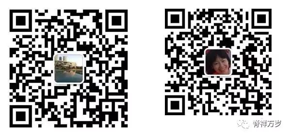 Comprehensive Guide to Holographic Diagnosis in Traditional Chinese Medicine
