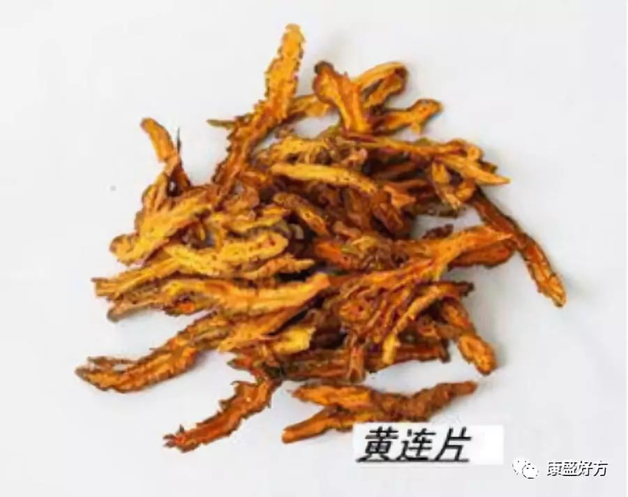 Huang Lian: The 'Aspirin' of Traditional Chinese Medicine