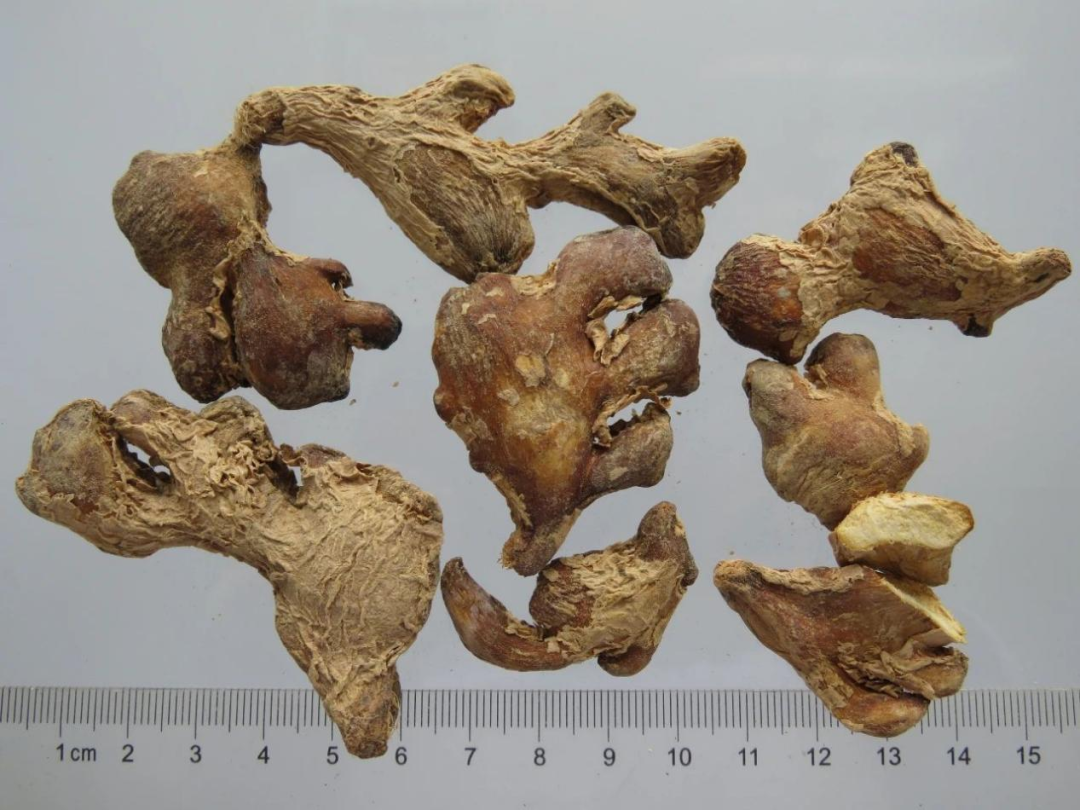 Weekly Herb | Do You Really Understand Dried Ginger? Learn with Jinan Ethnic Hospital