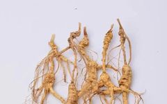 Common Herbs for Tonifying Qi, Nourishing Blood, Moistening Yin, and Reinforcing Yang