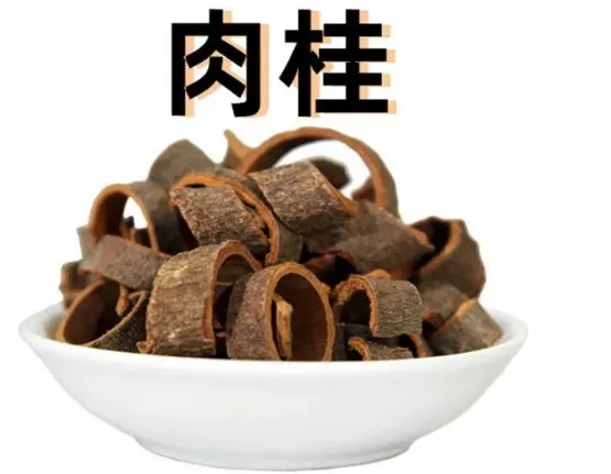 Daily Learning of Chinese Herbs - Cinnamon
