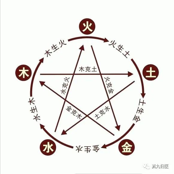 The Interactions of the Five Elements in Traditional Chinese Medicine