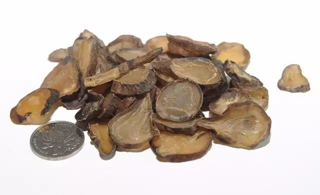 The Application of Fuzi (Aconite) by Dr. Li Ke in Traditional Chinese Medicine