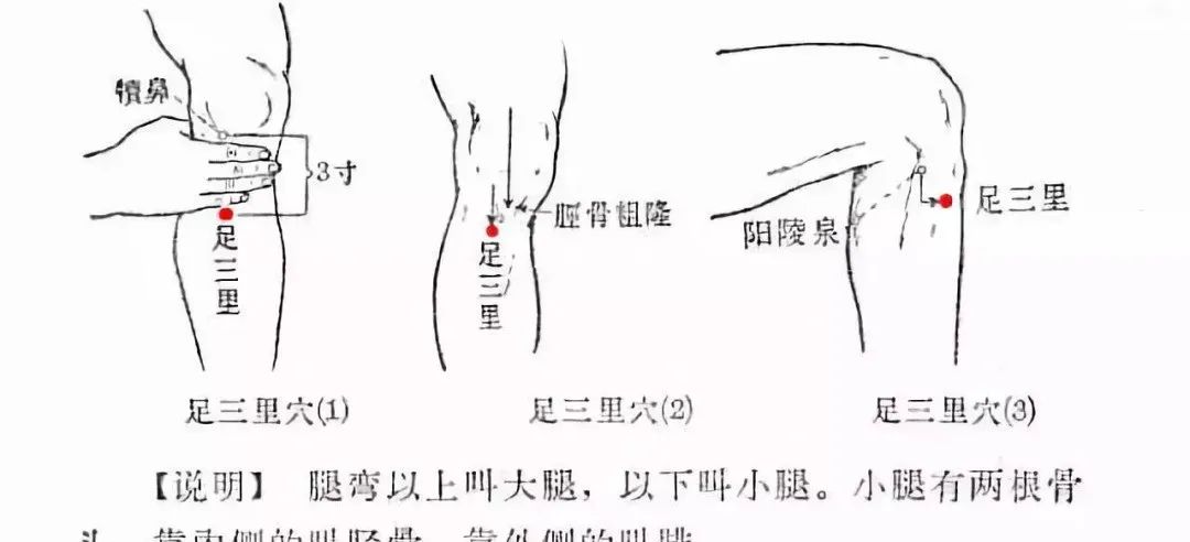 Three Hand Acupuncture Points, Three Foot Acupuncture Points, and Three Shoulder Acupuncture Points!
