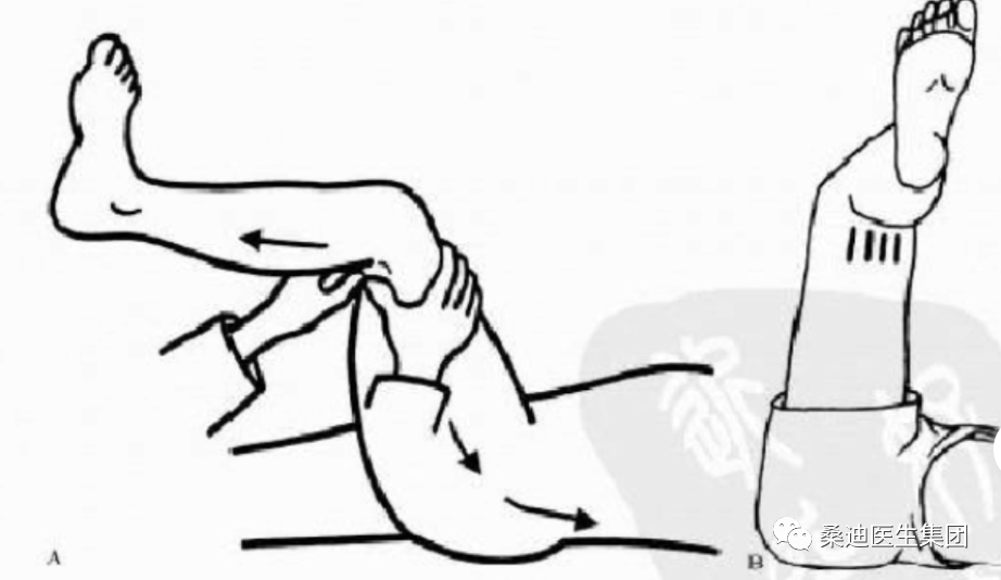 Diagnosis and Inquiry of Low Back Pain