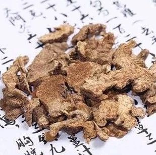 Luo Dalun: Cang Zhu (Atractylodes) Can Alleviate All Symptoms!