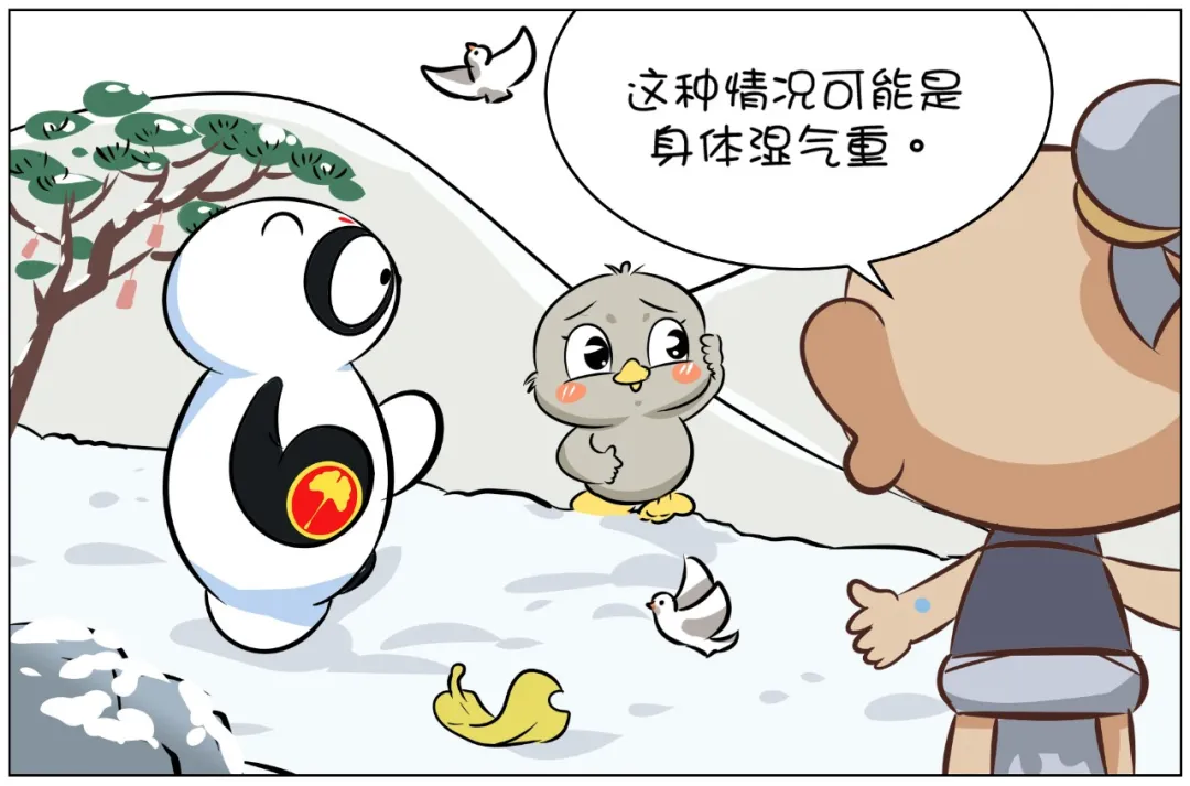 Guide to Eliminating Dampness in Traditional Chinese Medicine