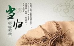 Angelica Sinensis: The Premier Blood Nourishing Herb