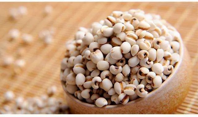 The Effects and Functions of Coix Seed (Yi Yi Ren), Side Effects, and Contraindications