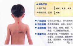 Nine Acupuncture Points for Moxibustion to Address 90% of Diseases