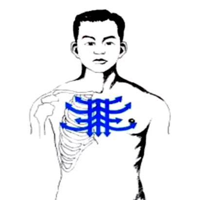 Special Gua Sha Techniques (The Essence of Gua Sha)