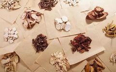 Eight Common Diagnostic Methods in Traditional Chinese Medicine