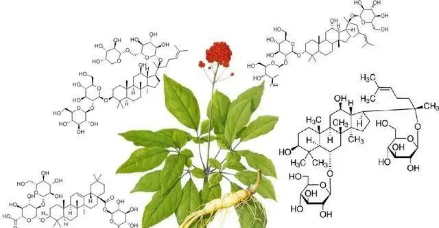 Understanding Kidney Yin and Yang Deficiency: Symptoms and 15 Commonly Used TCM Formulas