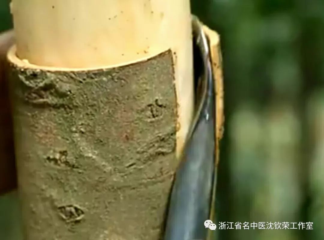 Cinnamon (Rou Gui): A Distinct Herb with Unique Clinical Efficacies