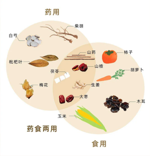 Understanding TCM Medicinal Cuisine