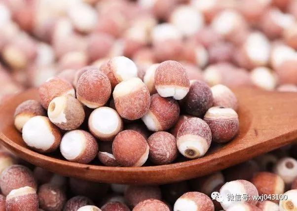 4 Signs of Kidney Yang Deficiency and an Ancient TCM Formula for Kidney Health