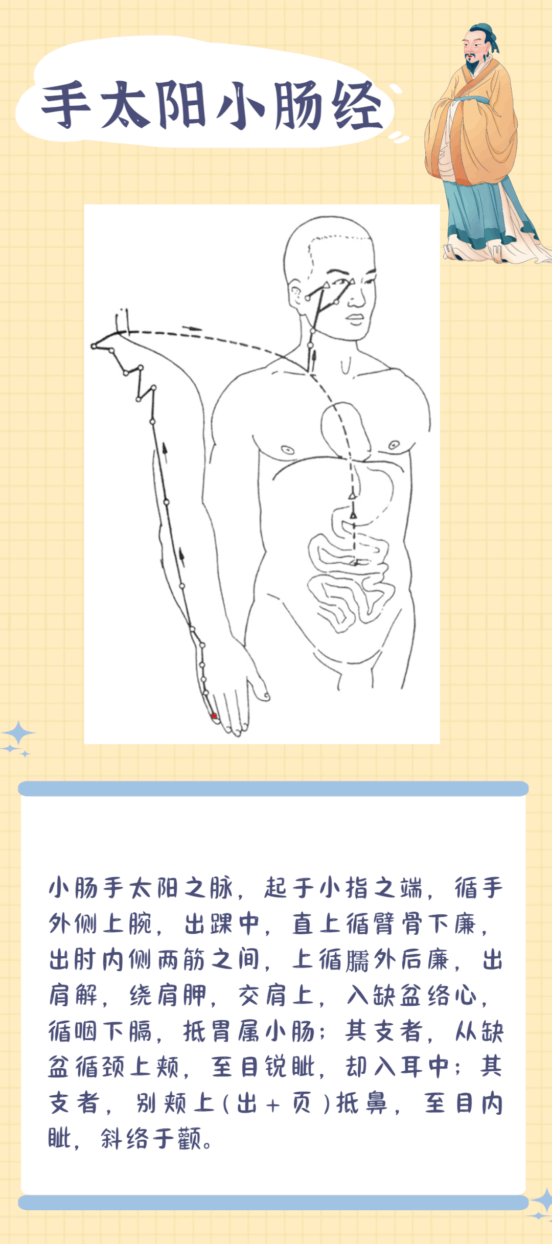 Illustration of the Twelve Meridians: A Worthy Focus