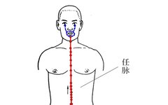 Protect Your Body's Two Meridians: Balance Yin and Yang for Unobstructed Qi and Blood Flow!
