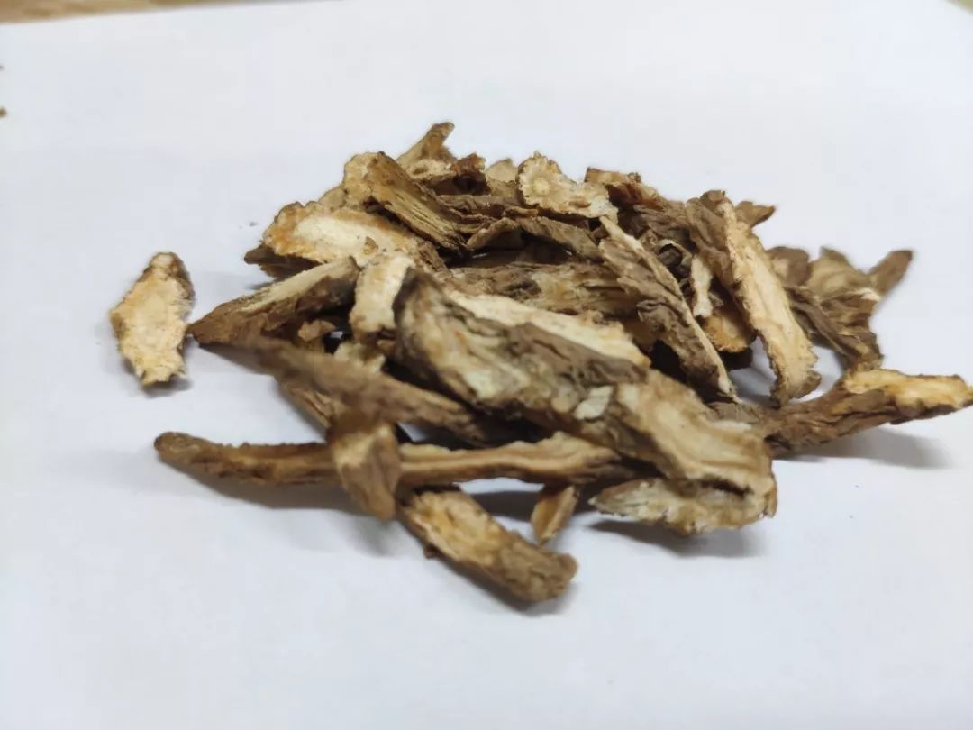 Aromatherapy for Body and Mind: The Holy Medicine for Nourishing Blood and Regulating Menstruation - Angelica Sinensis