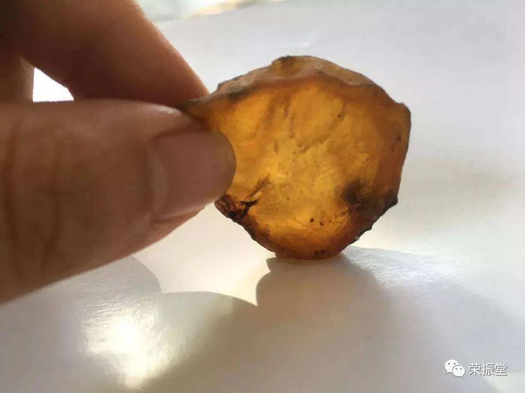A Detailed Discussion on Chinese Herbal Medicine | Fu Zi (Aconite)
