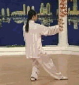 Comprehensive Guide to Tai Chi Movements: Exercise at Home!
