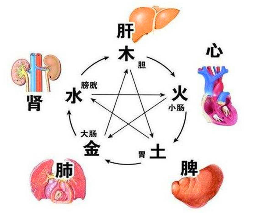 Principles of Application for Traditional Chinese Medicinal Cuisine