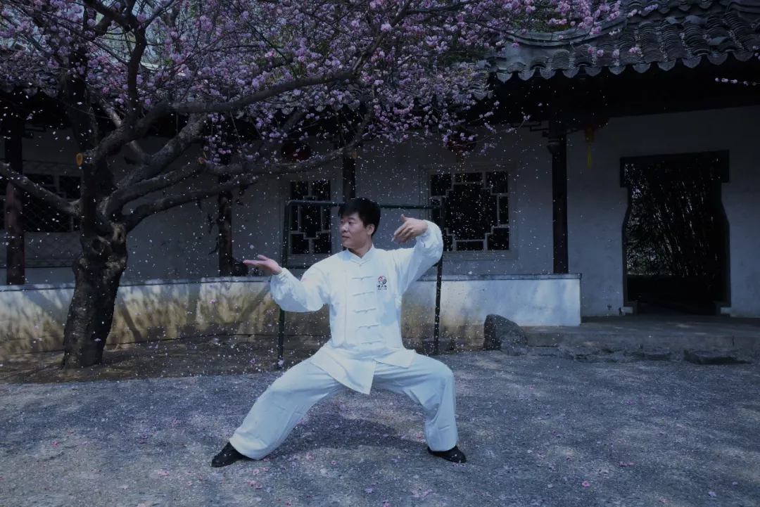 Why Practice Tai Chi? Here Are Many Unexpected Benefits!
