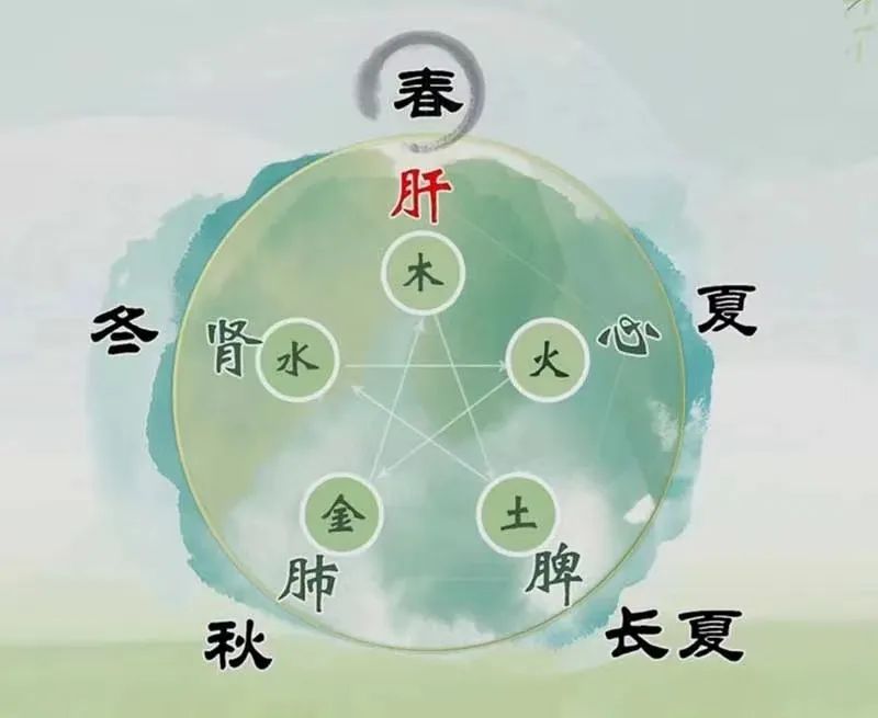 The Nine Major Types of Constitution Identification in Traditional Chinese Medicine