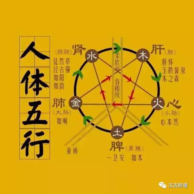 Common Deficiency Syndromes of the Five Organs (Yin, Yang, Qi, Blood) and Their Treatment Methods