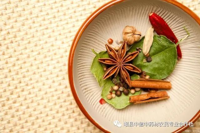 Understanding Cinnamon (Rou Gui)