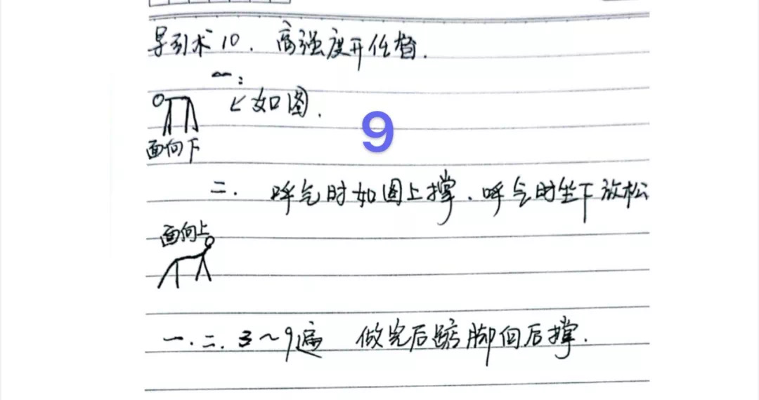 Notes on Daoyin Techniques (Text Version)