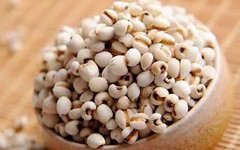 The Wonderful Uses of Coix Seed (Yi Yi Ren) in Food and Medicine