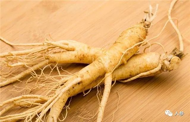Ginseng: The Most Comprehensive and Fastest Qi Tonic