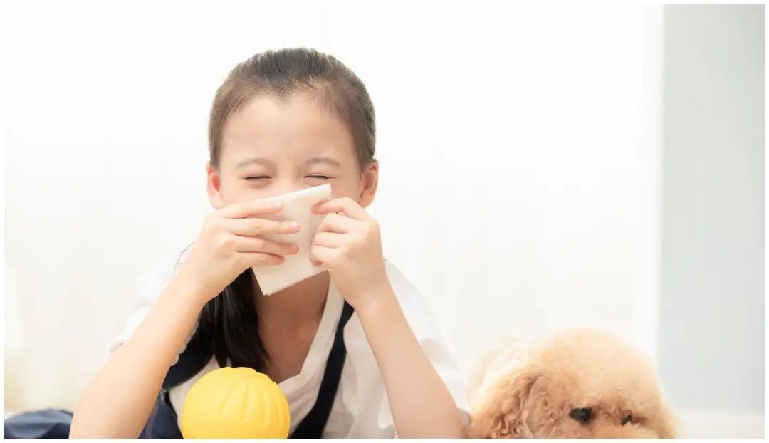 A Renowned Formula for Strengthening the Body and Expelling Pathogens: A Solution for Colds Without Targeting Specific Viruses!