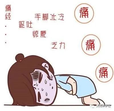 Bai Shao: The Sacred Herb for Liver Nourishment in Spring, Benefiting the Liver and Spleen, Nourishing Blood and Regulating Liver Qi
