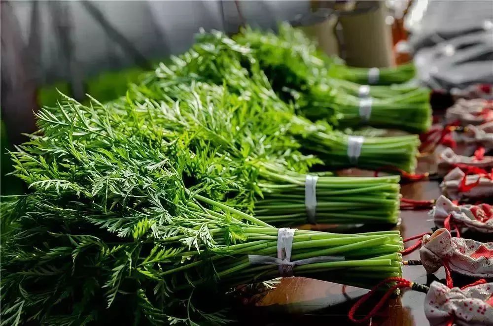 The Dual Role of Medicinal and Edible Plants: A Focus on Chuanxiong (Ligusticum chuanxiong)