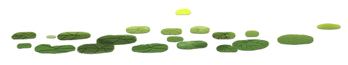 How Should People with Yin Deficiency Nourish Themselves in Summer?