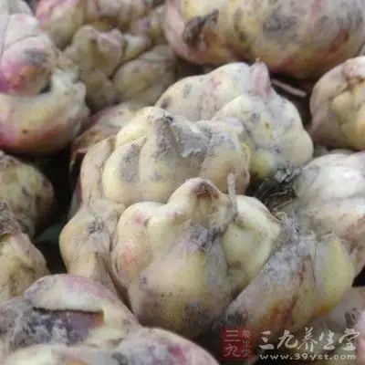 TCM Health Preservation: How to Address Spleen and Stomach Yang Deficiency with Dietary Therapy