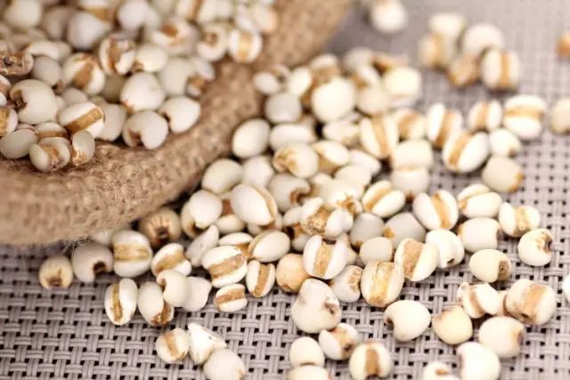 Secrets of Grain-Based Health: Eating for Better Wellness