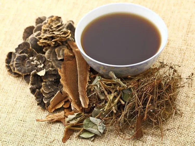 Does Drinking Astragalus Water Harm the Kidneys? Warning: These 4 Chinese Herbs Are Truly Harmful to the Kidneys
