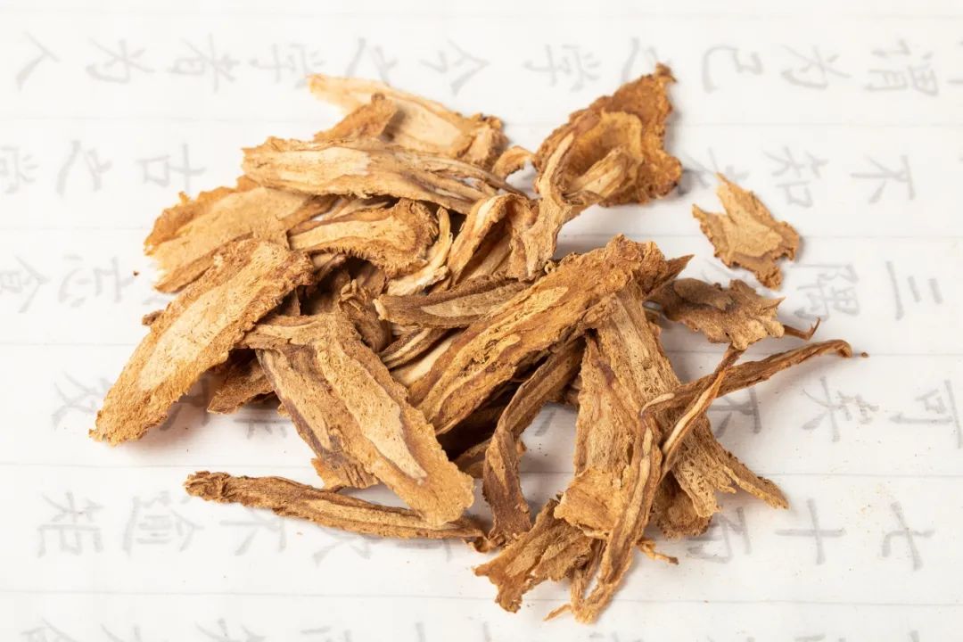 The Great Benefits of Angelica Sinensis: How to Properly Consume It?