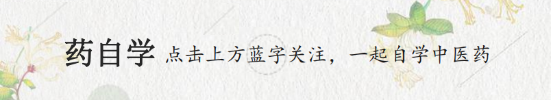Spleen and Stomach Yang Deficiency: A Common Ailment Ignored by Modern Youth