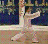 Comprehensive Guide to Tai Chi Movements: Exercise at Home!