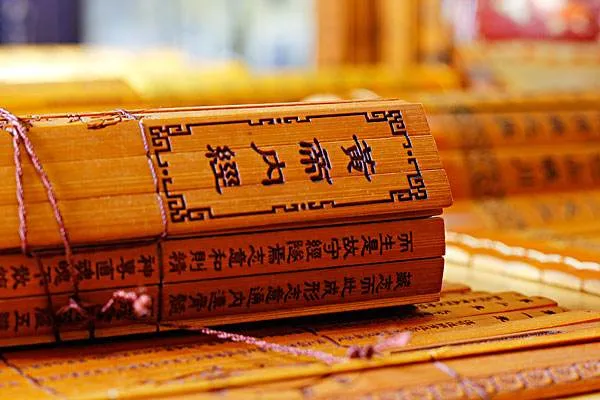 The Importance of Studying the Huangdi Neijing