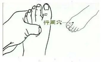 Nurturing Nine Types of Constitutions in Traditional Chinese Medicine