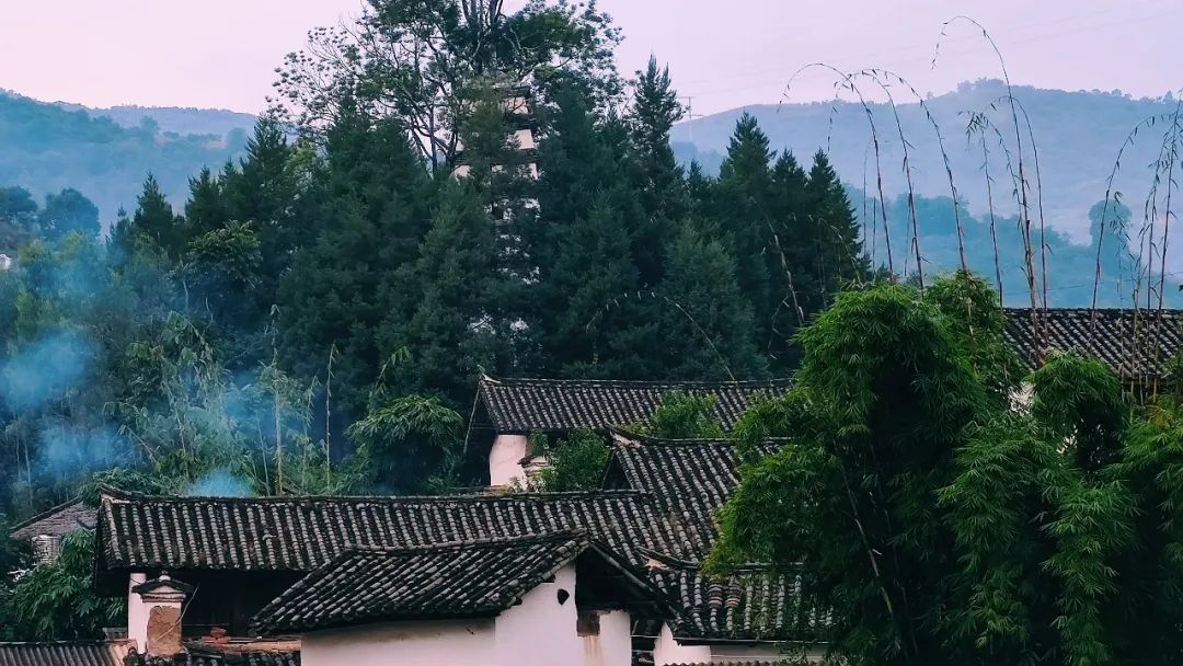 The Power of the Five Elements in Traditional Chinese Medicine