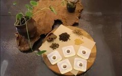 Winter Warm Yang Patches: Preventing Yang Deficiency Before Illness