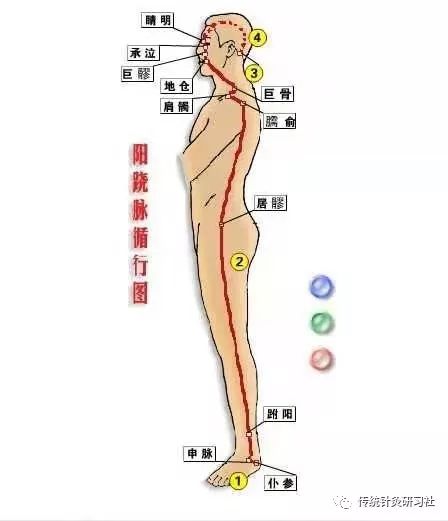 Diagram of the Eight Extraordinary Meridians in Traditional Chinese Medicine