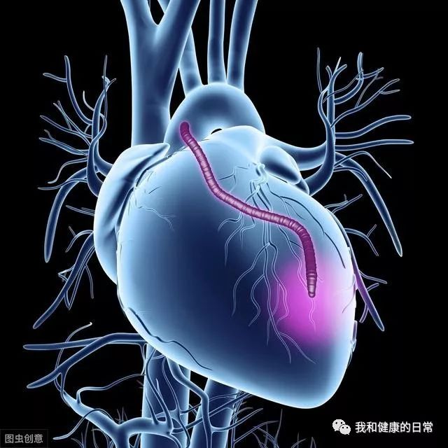 Comprehensive Guide to Blood Activating and Stasis Resolving Chinese Herbs